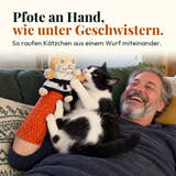 Symbolbild: Pfote an Hand, wie unter Geschwistern.